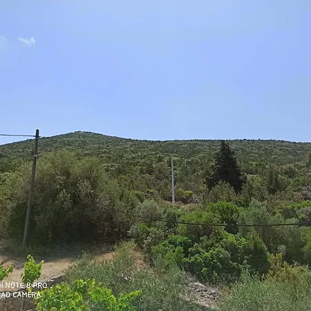 Boni